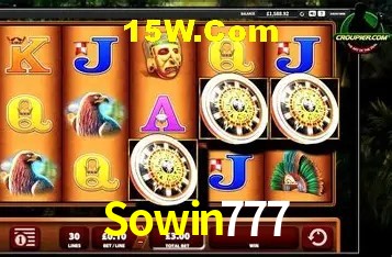 Security Systems Sowin777